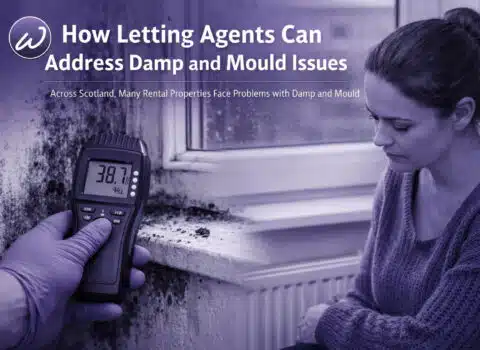 How Letting Agents Can Address Damp and Mould Issues